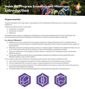 Guide for Program Essentials and Milestones