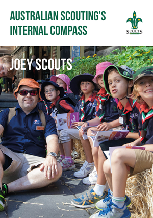 Internal Compass Joey Scouts