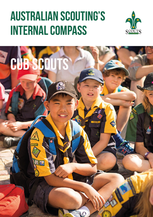 Internal Compass Cub Scouts