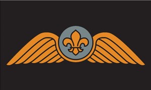 Scouts Wings