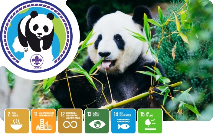 Champions for Nature Challenge badge, with a panda eating bamboo in the background and UN SDGs 2, 11, 12, 13, 14 & 15 in the foreground