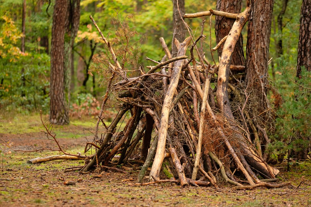 Adobestock 391549832