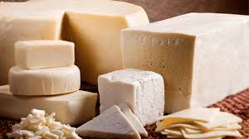 Cheese