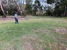 Camp Niall Grassy Campsites