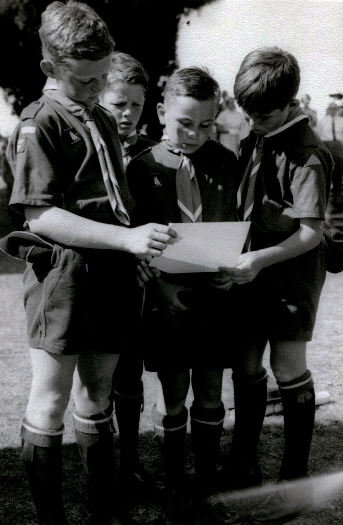 486151503 954234203592553 2184180036212434508 N