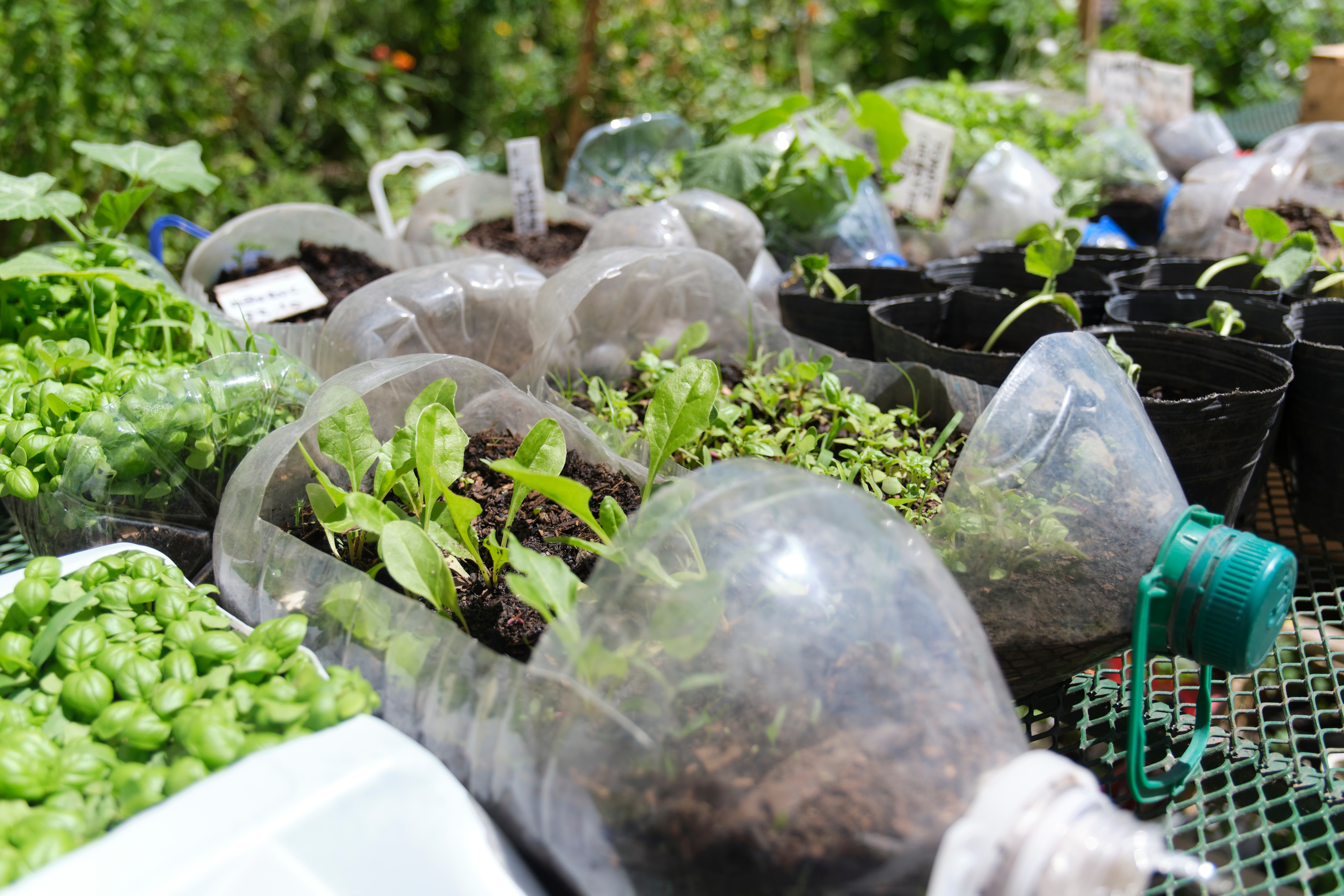 Adobestock 578528214