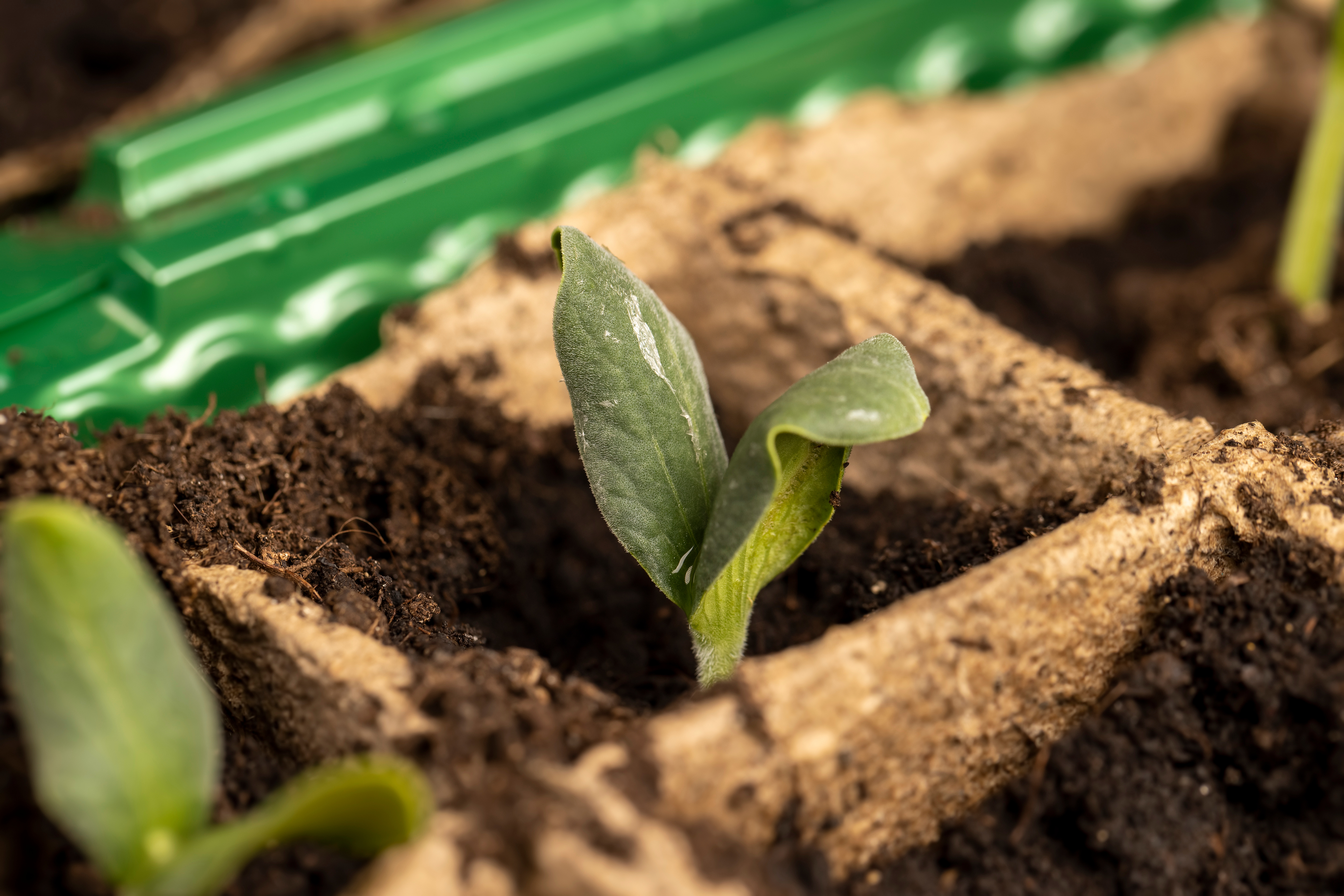 Adobestock 892403480