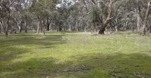 Mataranka