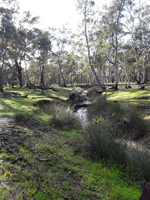 Mataranka 6