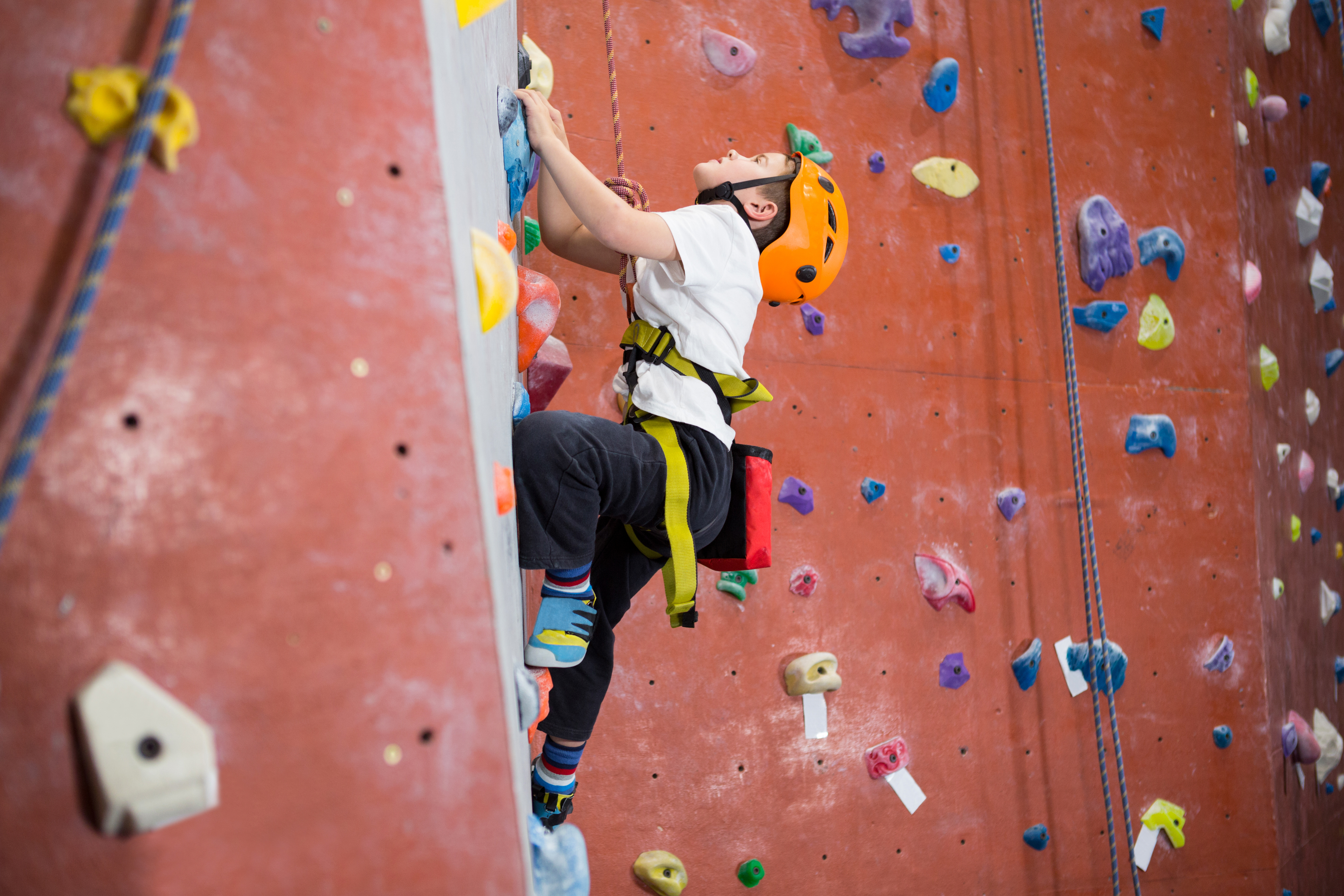 Adobestock 202819113