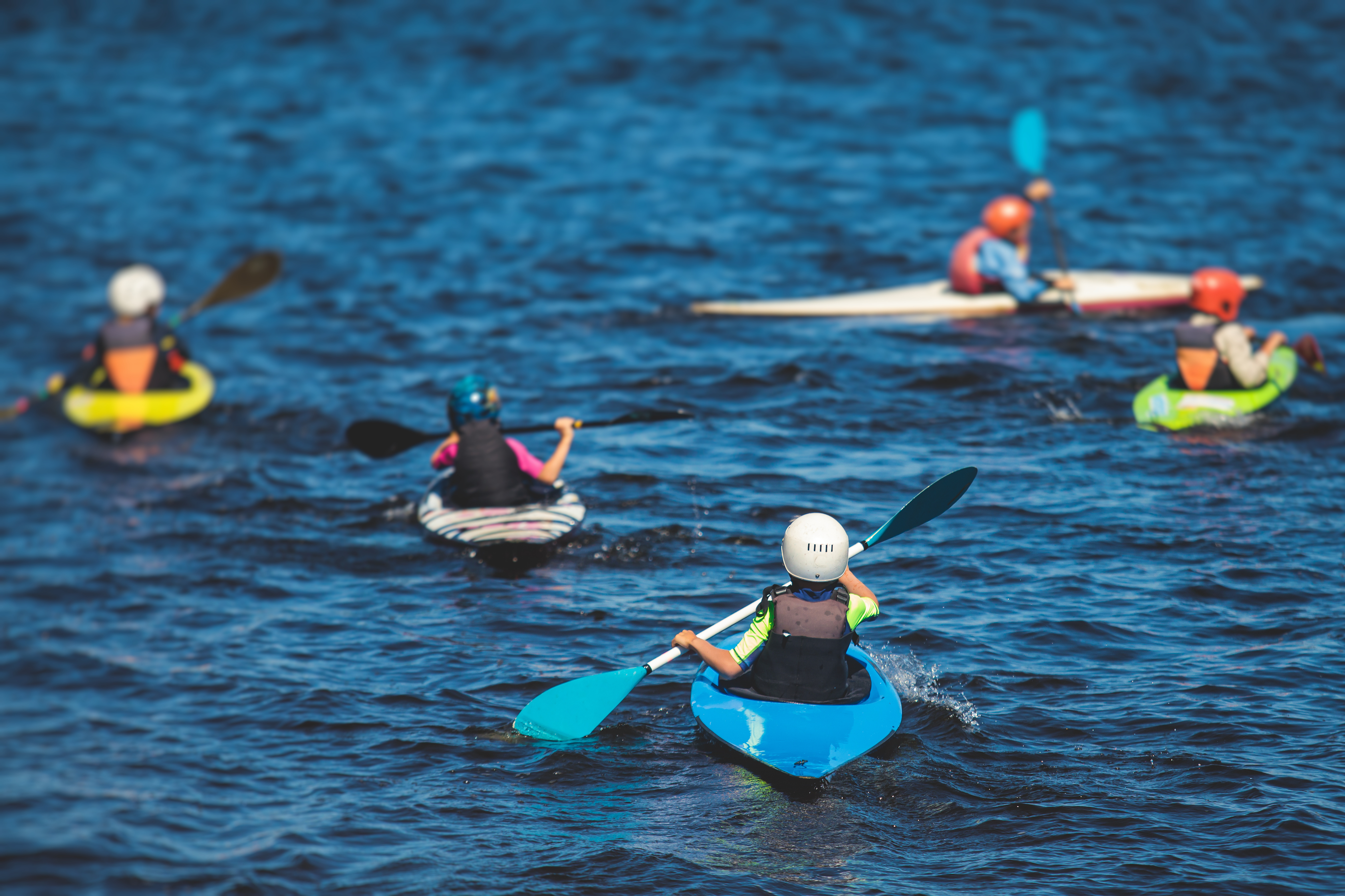 Adobestock 493520249