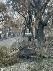 9C82fcd2 6440 44C4 8Ca2 2E5698275003