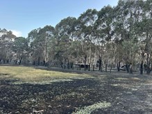 75Fd10bb 4F7d 444D 9A72 33280Ad04de1