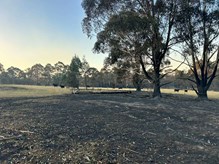 C5c668b0 4A01 4Aac 9589 F06c49c8e163