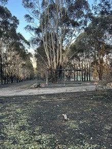 C2407f23 9Af1 4285 A547 B85bae1205ba