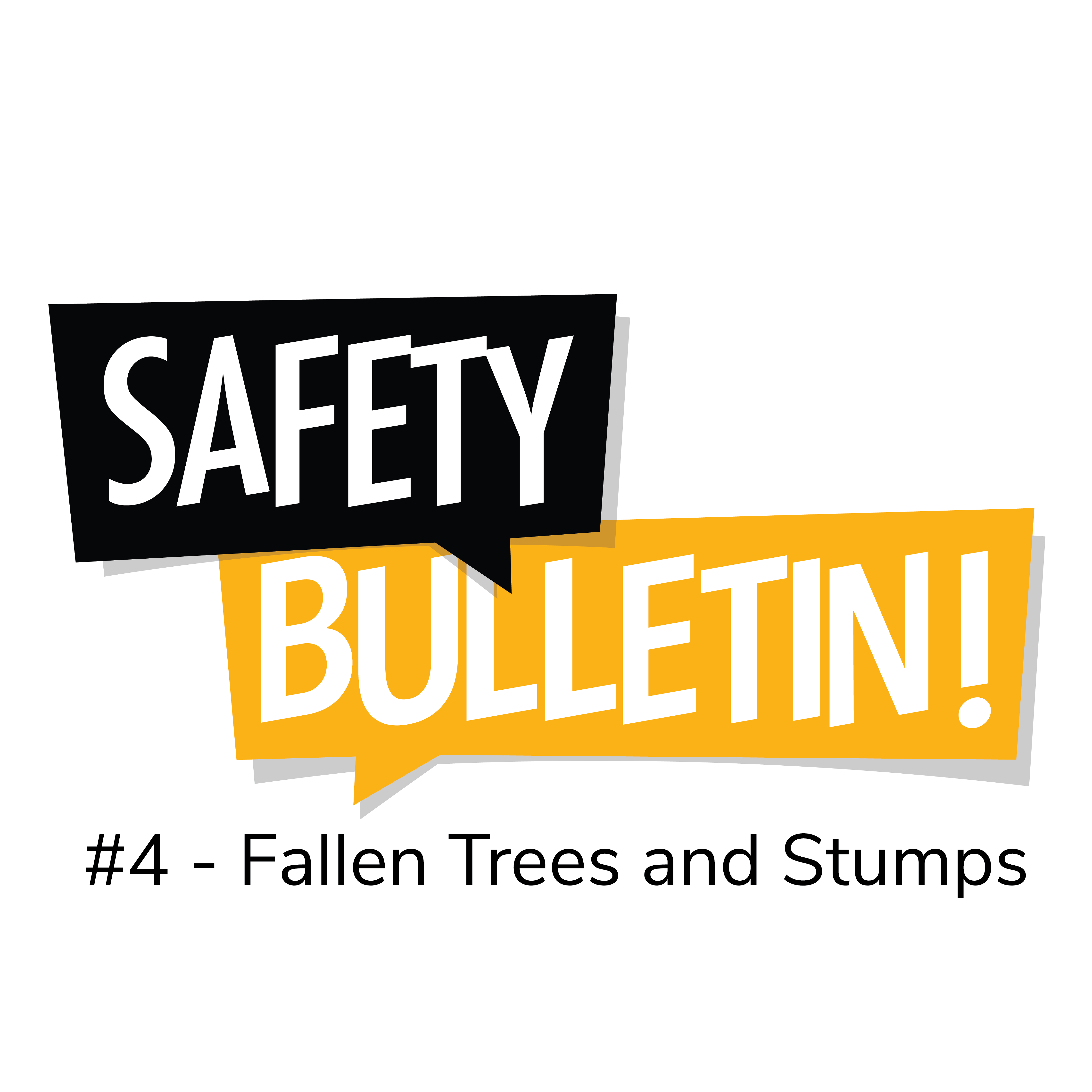 Bulletin Four